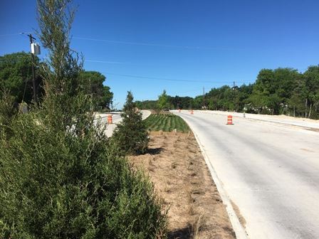 median landscape (sm)