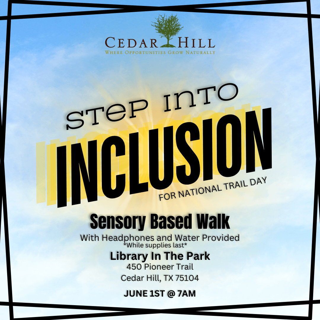 NTD Step Into Inclusion 2024 (002)