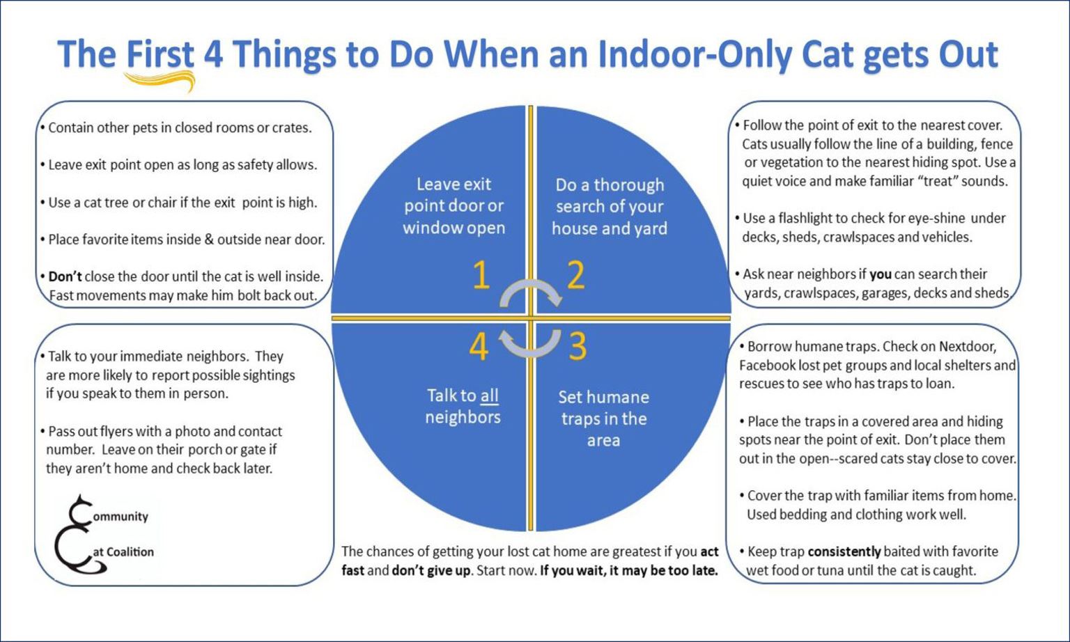 Indoor-Only-4-things-1-scaled