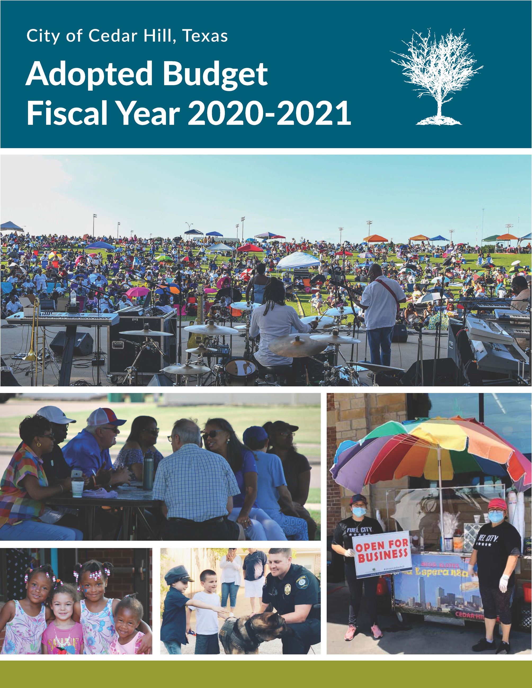 FY 21 Adopted Budget Cover Opens in new window