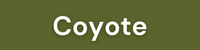 Coyote_Link