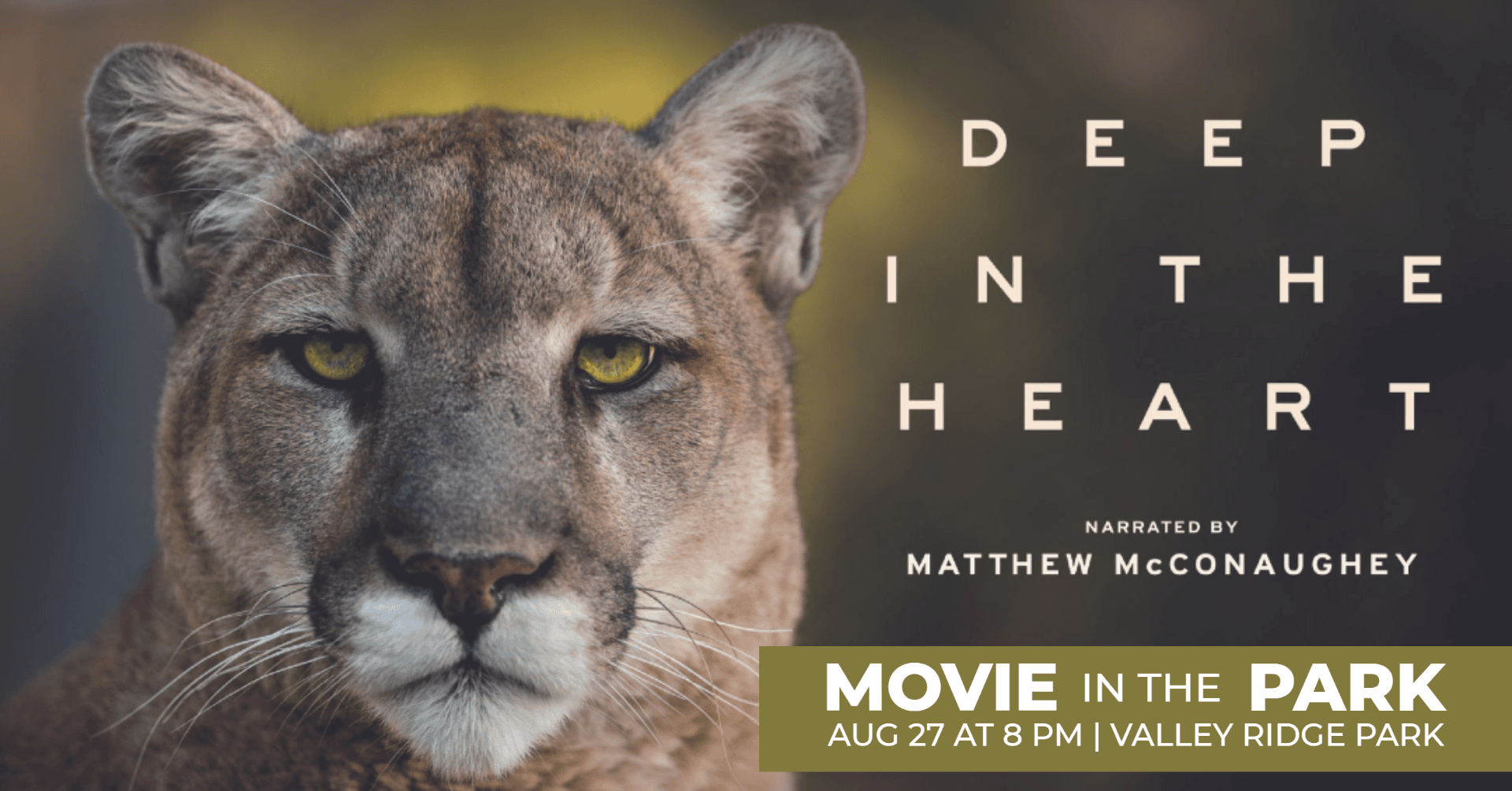 A mountain lion looks directly into the camera with greenery in the background. 